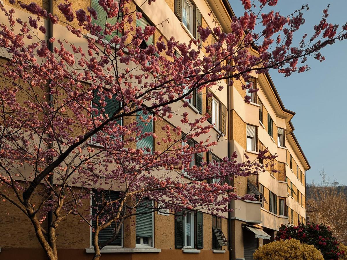 Central Suite Meran Exteriér fotografie